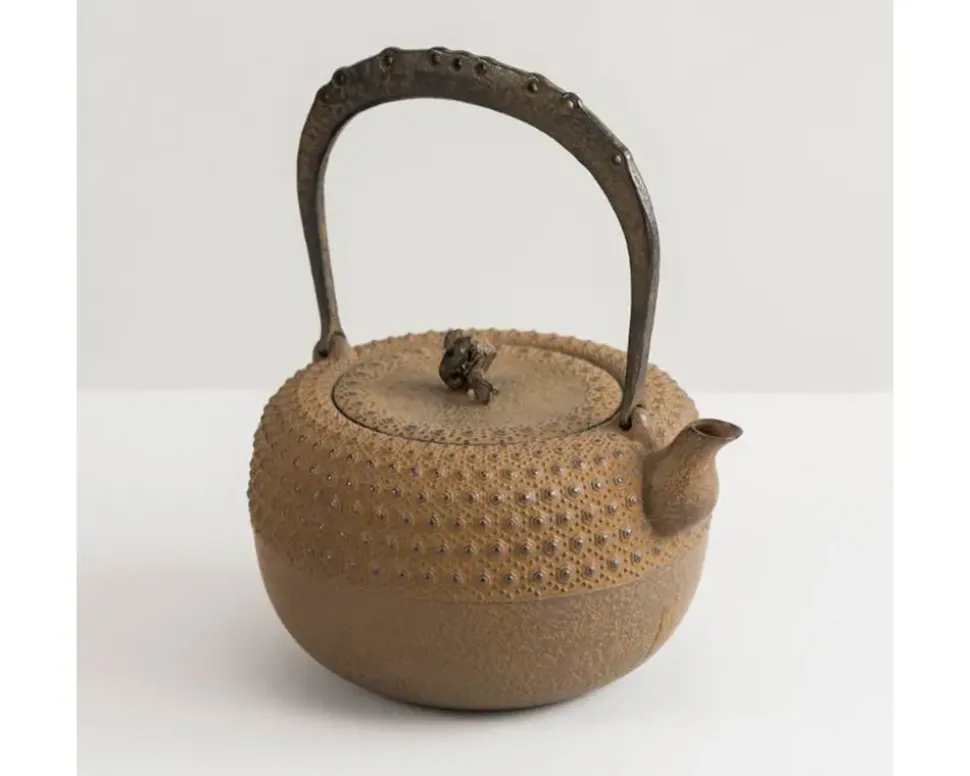 Iwachu Kettle Tetsubin Gravel Turtleshell Brown