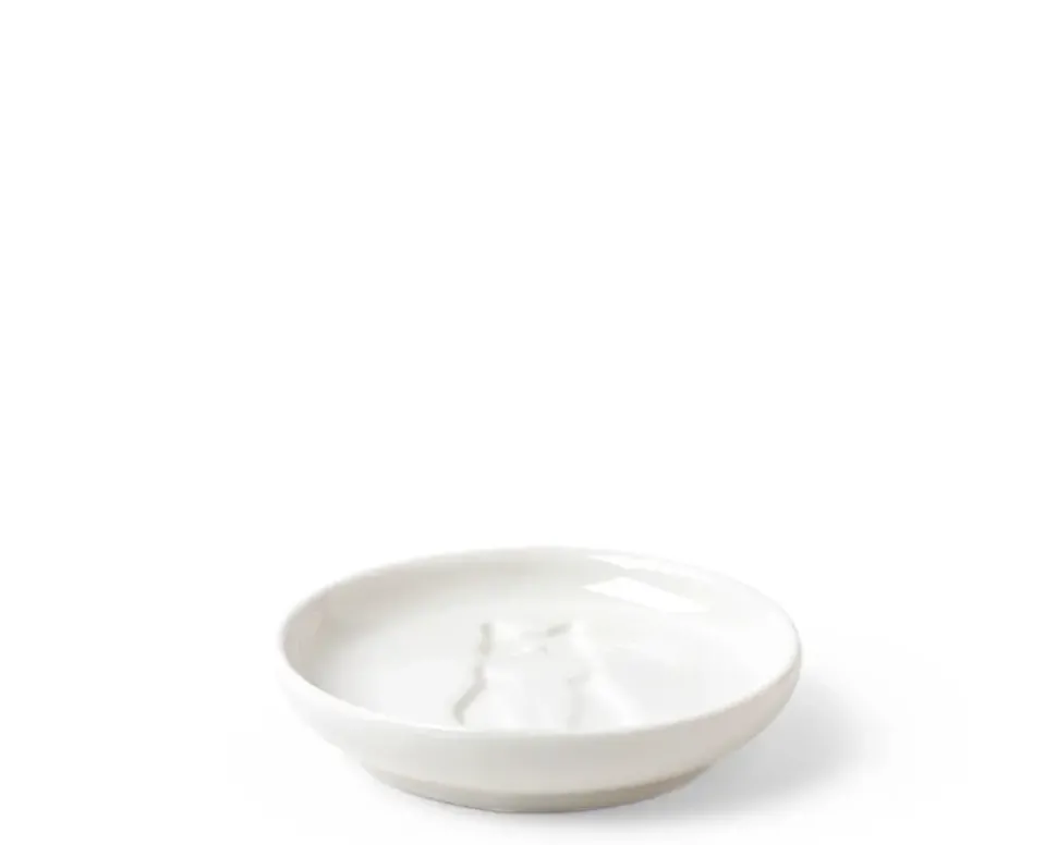 Sauce Dish Cat Sitting